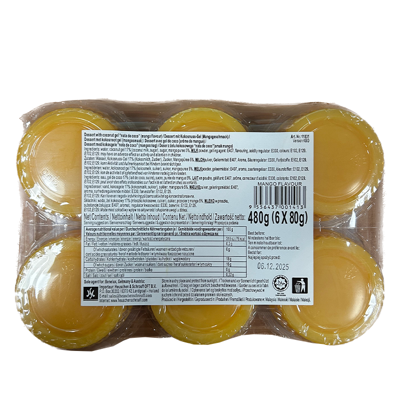 mango pud nata coco 480gr