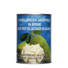young green jackfruit 565gr